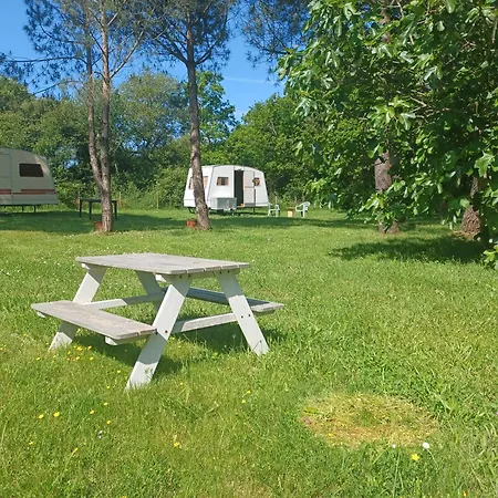 キャンプ場 Caravane Vintage