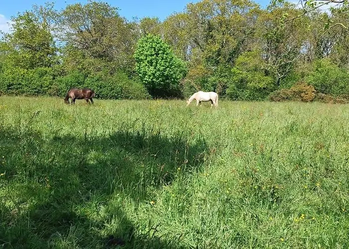 Campingplatz Caravane Vintage Pornichet